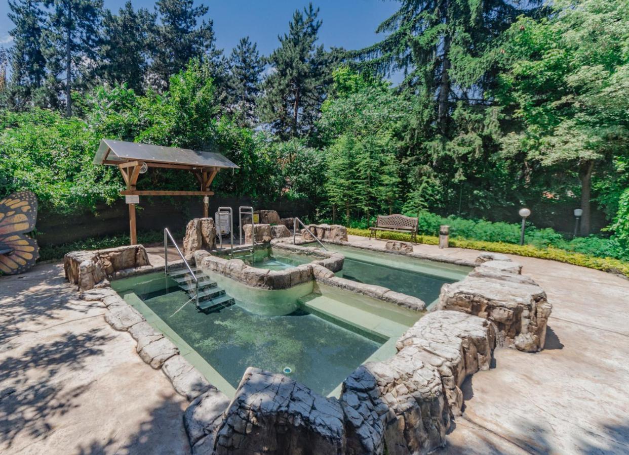 Spa Hotel Dvoretsa Velingrad Exterior foto The hot springs at the resort